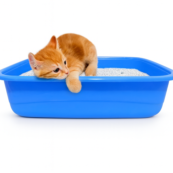 Cat Litter Tray Simple