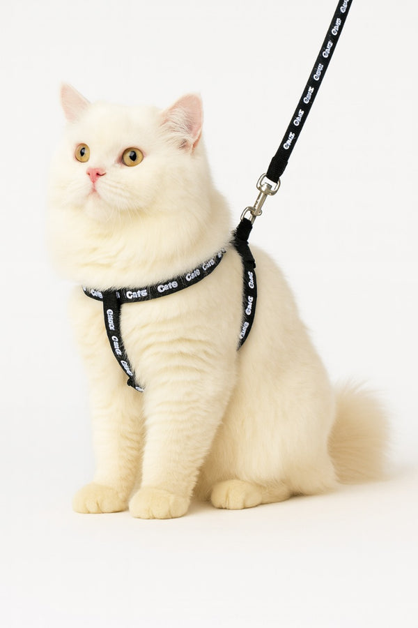 Adjustable Cat Harness with Leash – Safe & Comfortable Design