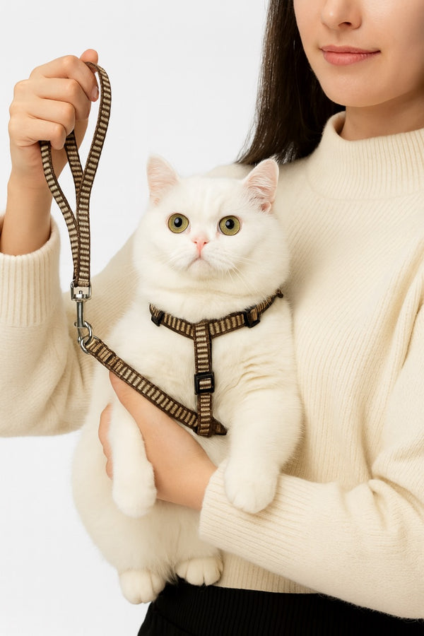 Adjustable Cat n Dog Harness with Leash