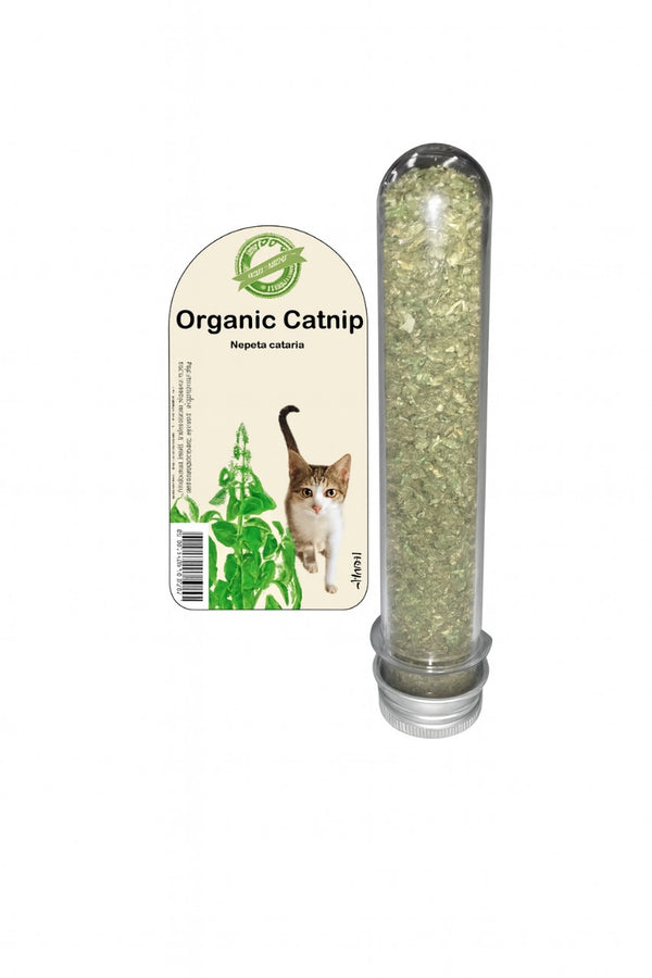 Cat Mint Leaves (Catnip) – 40ml Tube