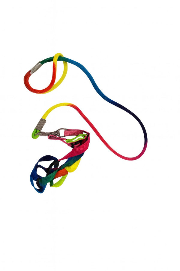 Rainbow Cat Harness with Leash – Colorful & Comfortable Design